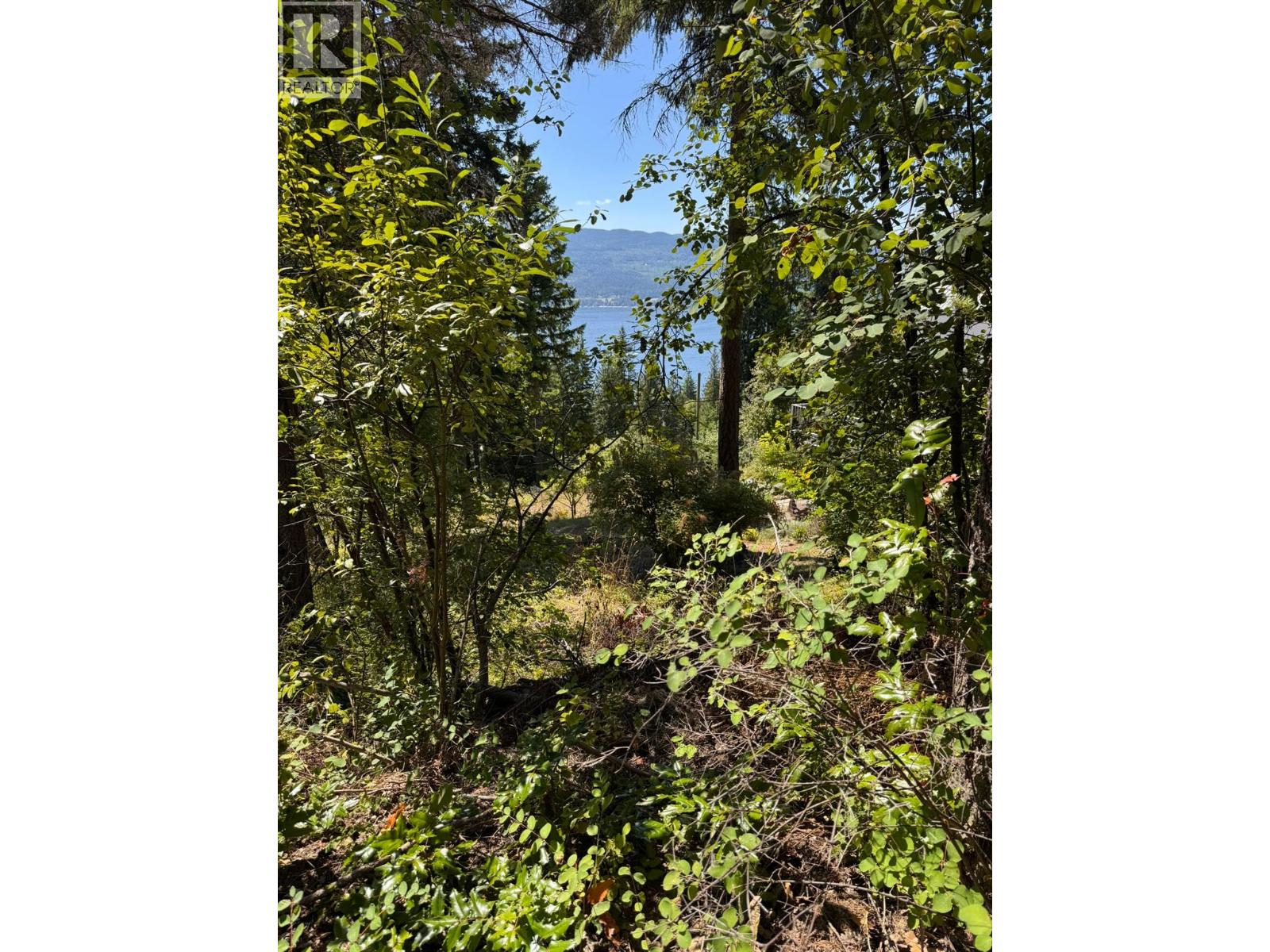 Lonneke Trail Lot APT 52, Anglemont, BC V0E 1M8