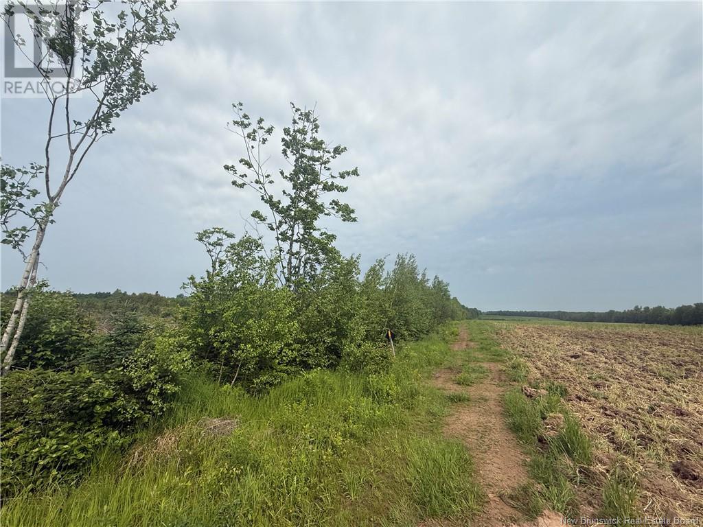 Lot Saintdamien Road, Sainte-marie-de-kent, NB E4V 3E5
