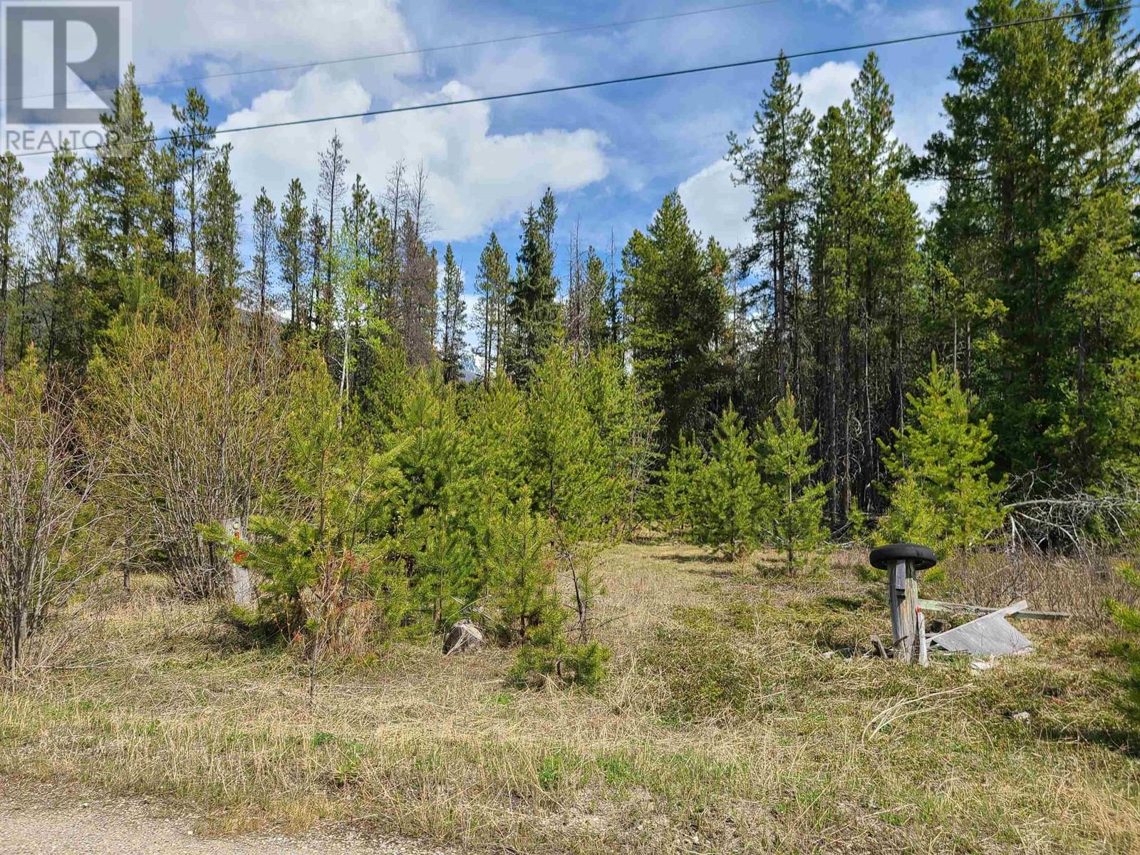 2300 Main St, Valemount, BC V0E 2Z0