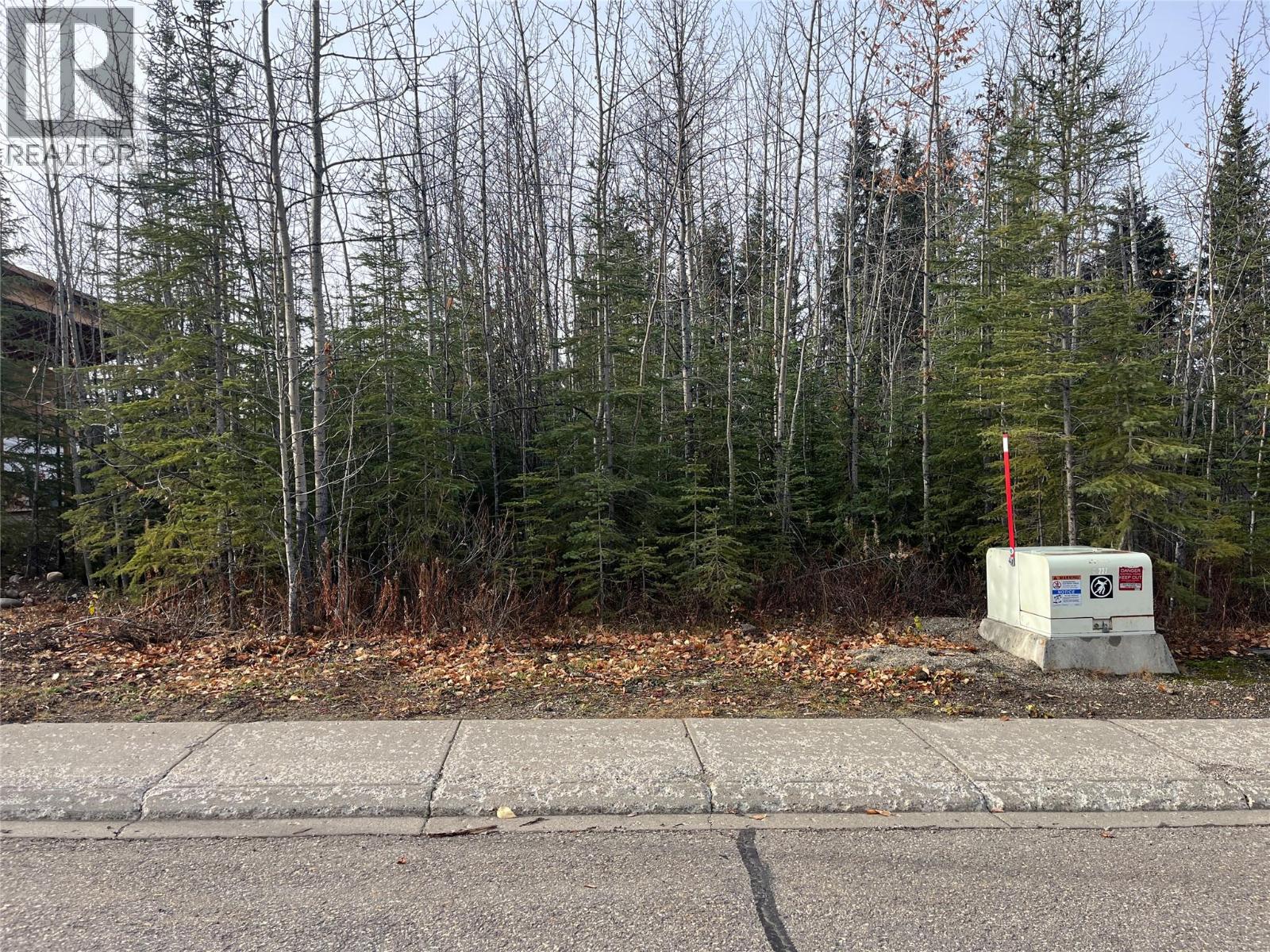 183 Wapiti Cres, Tumbler Ridge, BC V0C 2W0