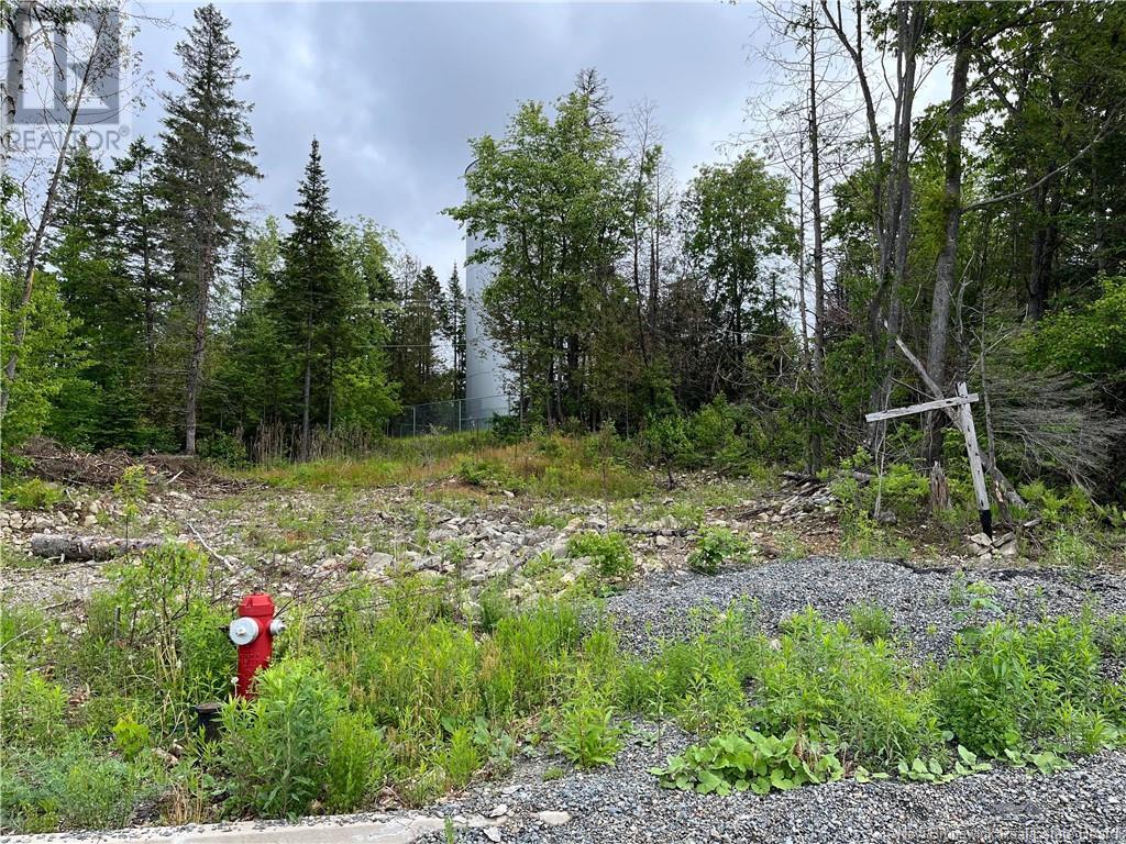 0 Riverview Cres, Woodstock, NB E7M 0J8