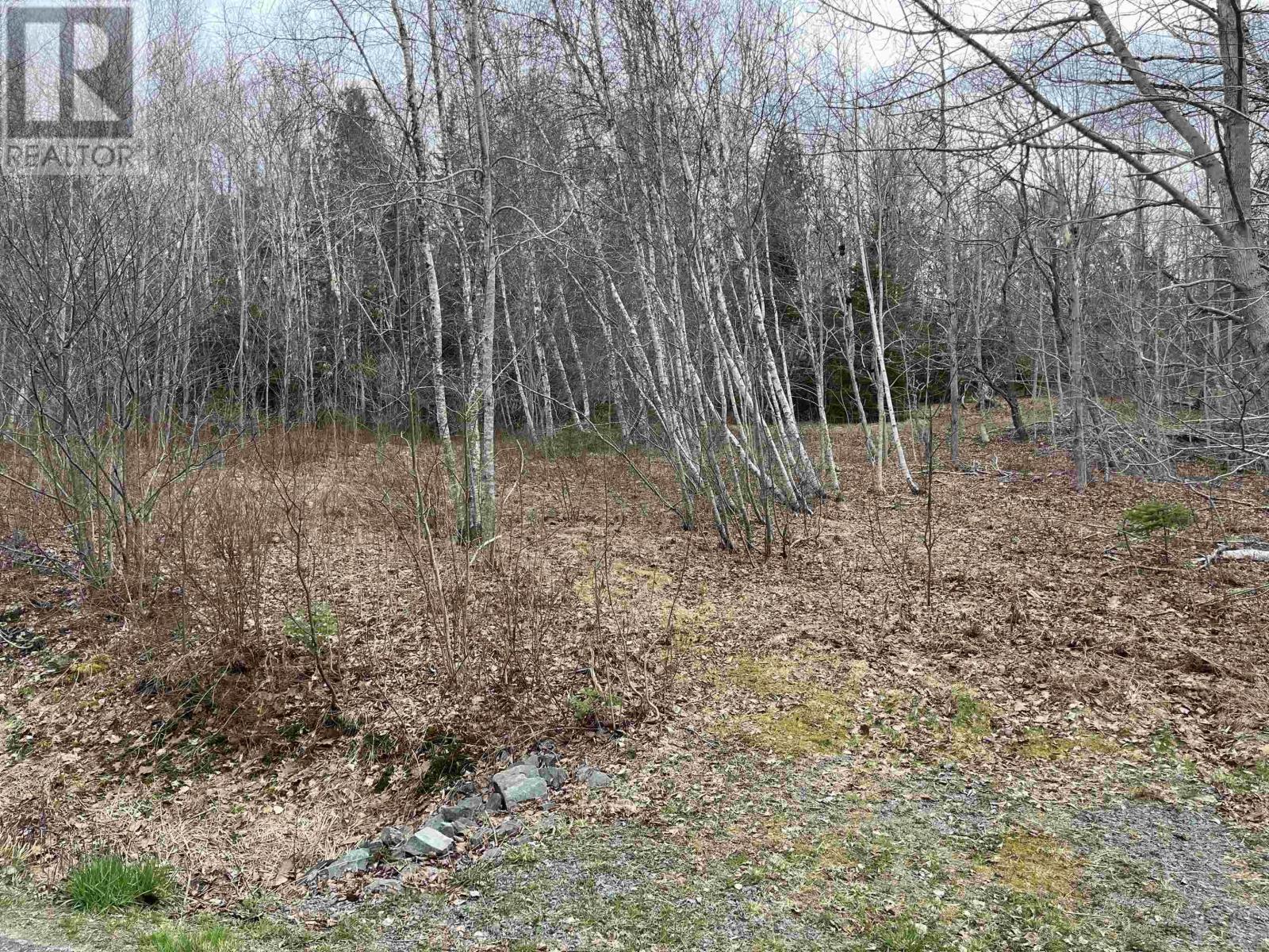 2 Sarty Road, Camperdown, NS B4V 0X6