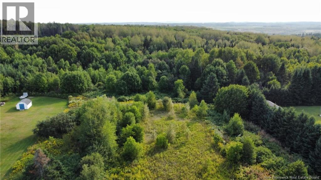 Lot Route 190, Carlingford, NB E7H 2B7