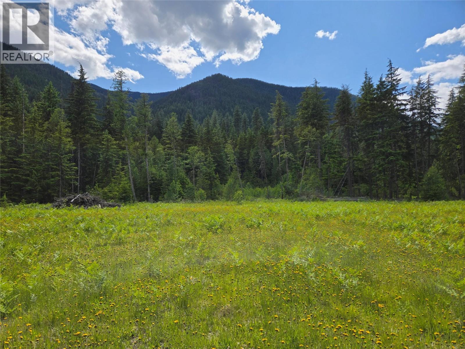 3809 Passmore Upper Rd, Passmore, BC V1L 2J0