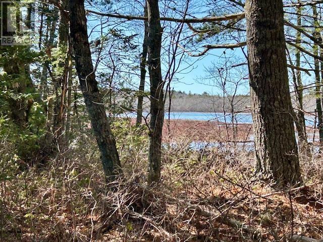 Lot Bridge Road, New Elm, NS B0T 1X0