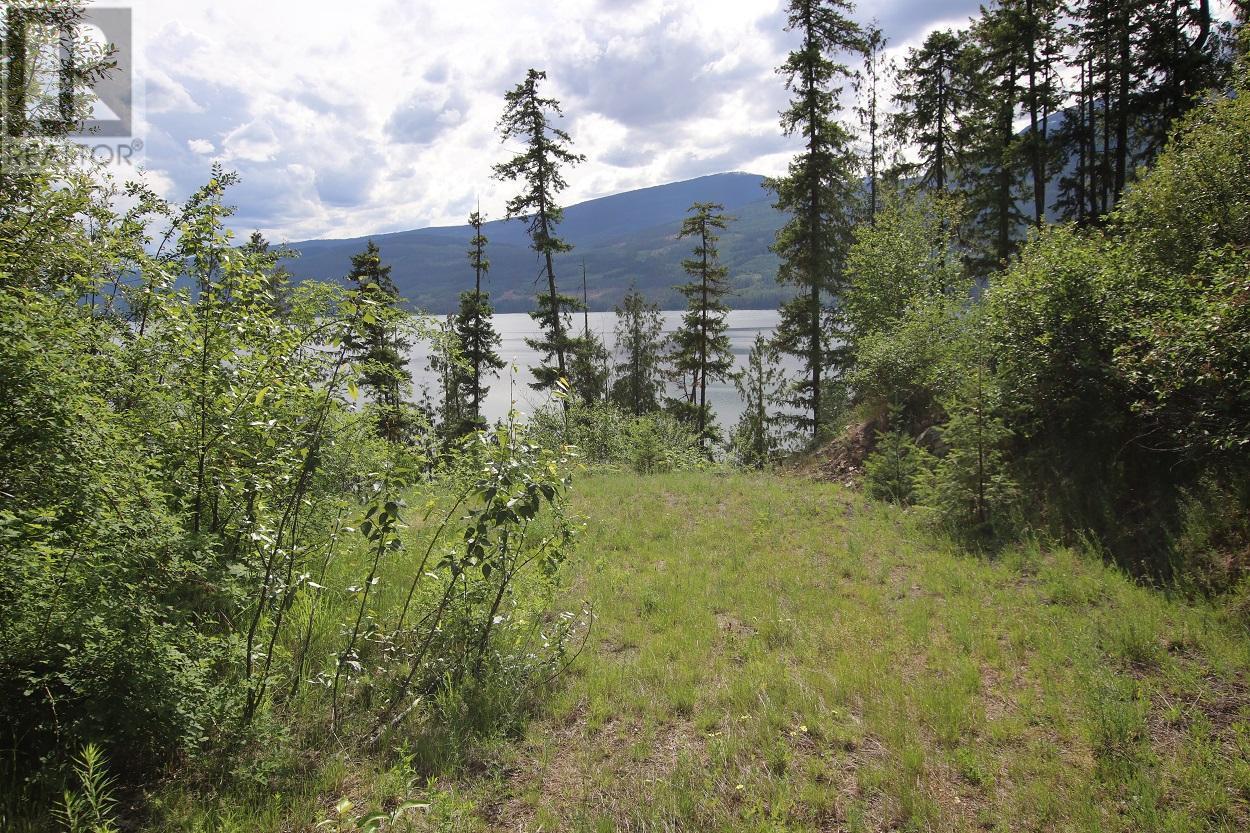Lot B Highway 23, Nakusp, BC V0G 1R1