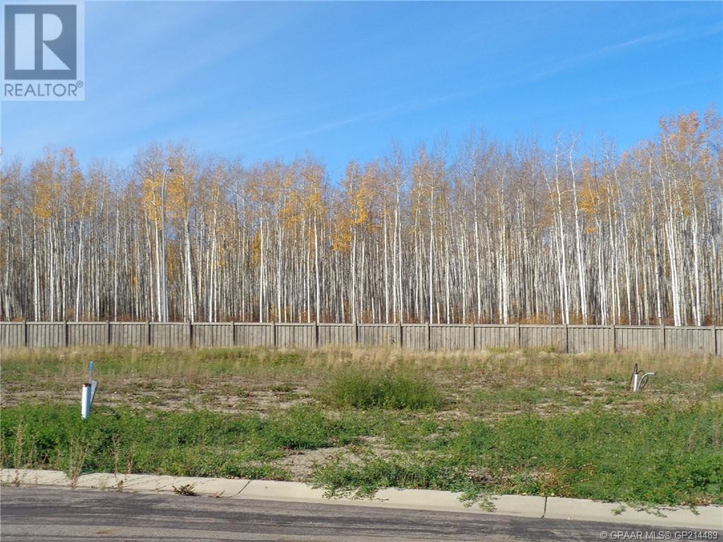 19 Bear Creek Dr, High Level, AB T0H 1Z0