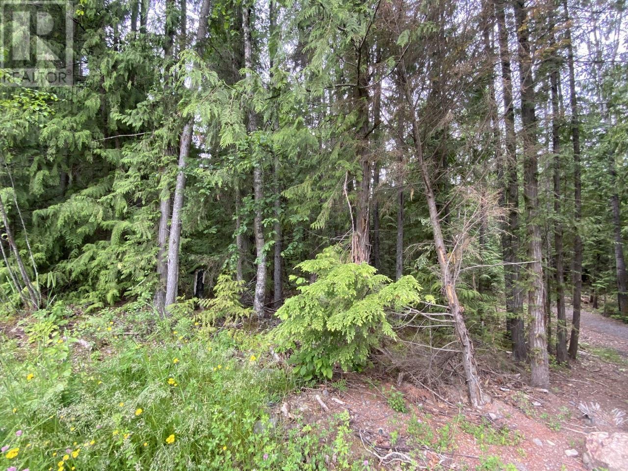 Laurier Street, New Hazelton, BC V0J 2J0
