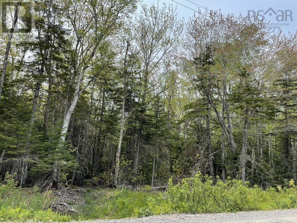 Beverly's Hill Road, Baddeck Inlet, NS B0E 1B0