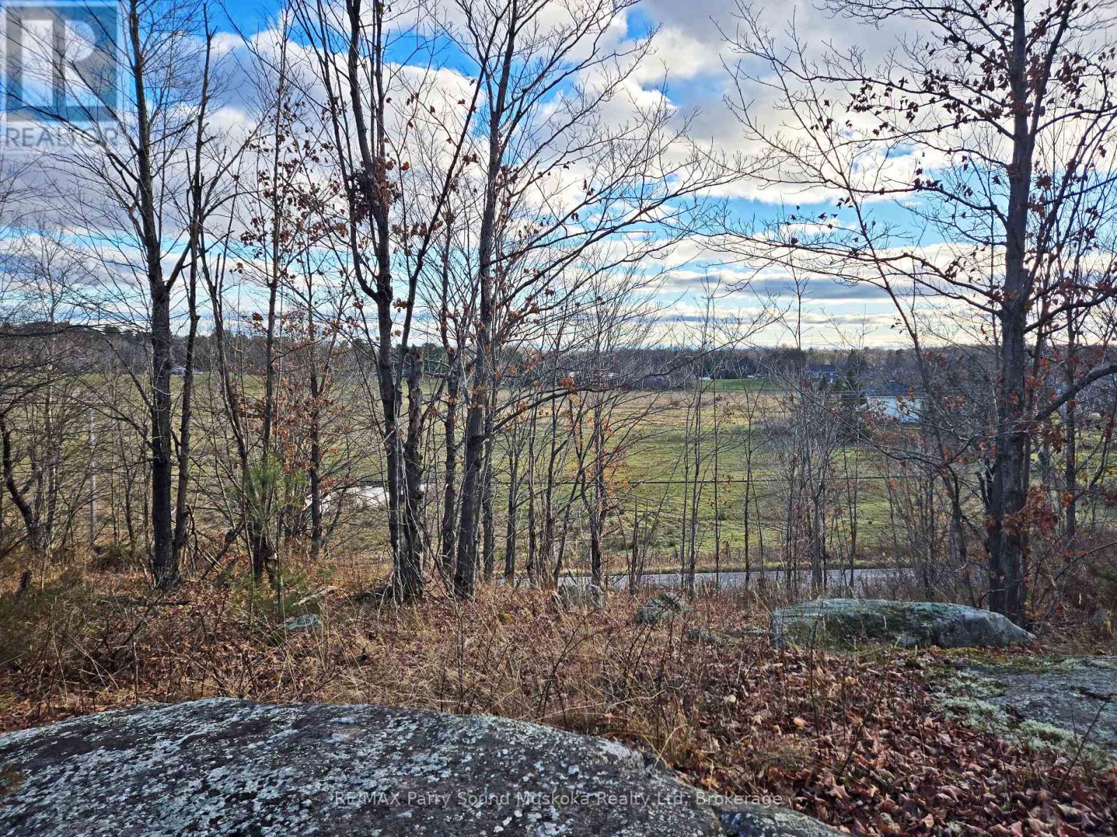 19 Turtle Ln, McKellar, ON P0G 1C0