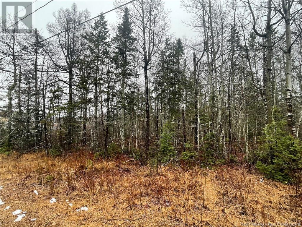 Lot Hwy 134, Shediac Cape, NB E4P 3G8