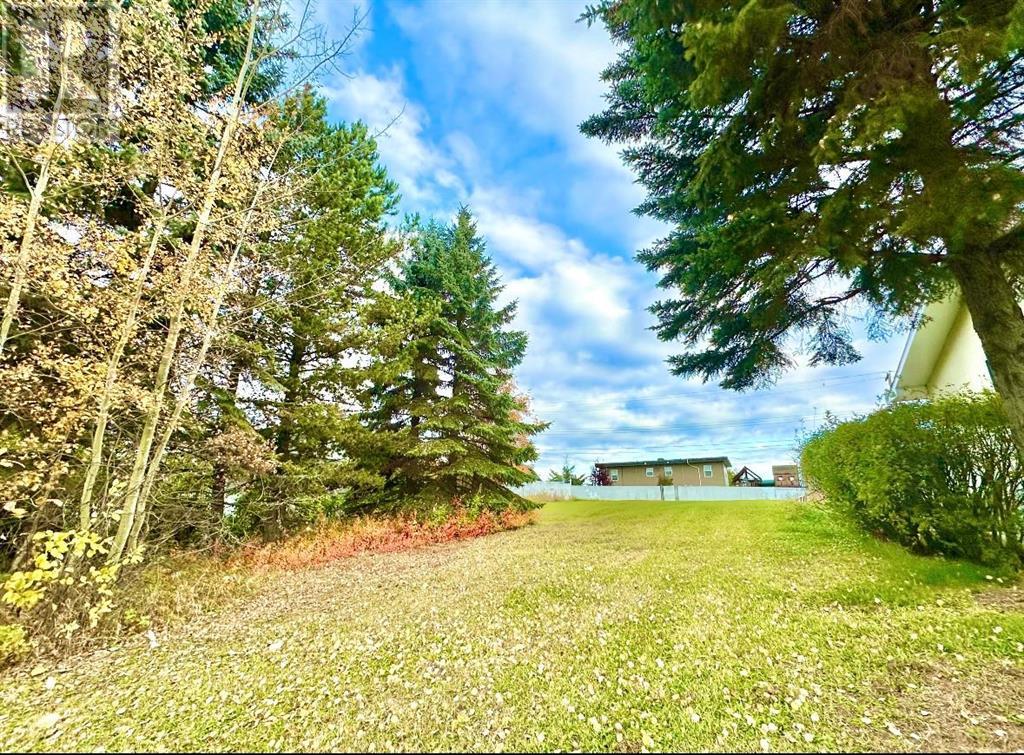 103 Ave Unit 10316 #10316, Lac La Biche, AB T0A 2C0