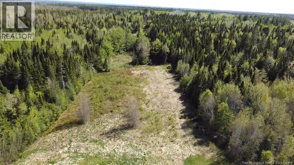 Vacant Lot Upper Salmon Creek, Upper Salmon Creek, NB E4A 1J2