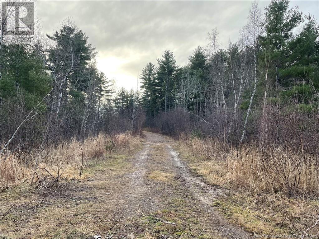 New Brunswick 105, Youngs Cove, NB E4C 2C2