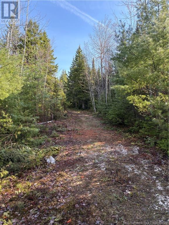 64 Lot Marine Drive Rd, Cumberland Bay, NB E3A 3M1