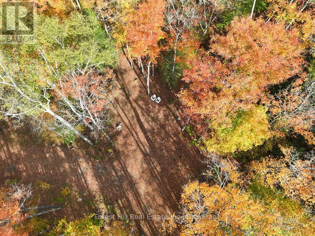 4488 Kawagama Lake Rd, Algonquin Highlands Sherborne, ON P0A 1E0