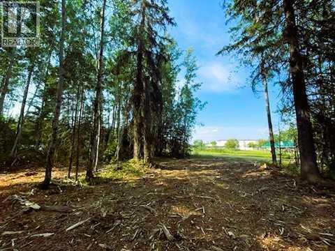 931 Wolf Trl, Sandy Lake, AB T0G 2K0