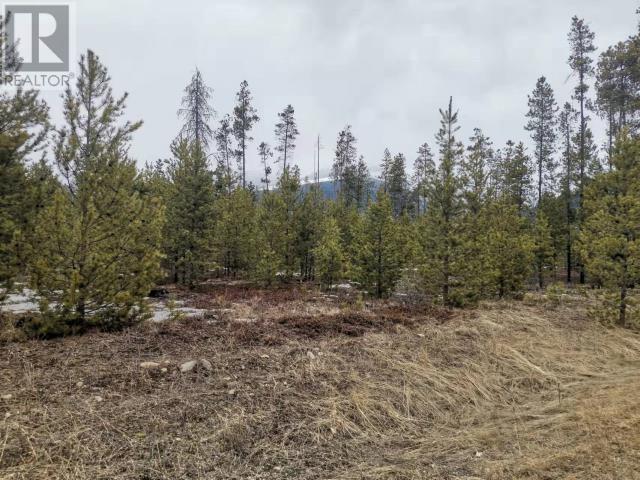 995 S Cranberry Lake Rd, Valemount, BC V0E 2Z0