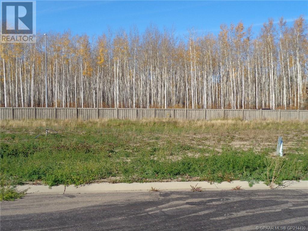 21 Bear Creek Dr, High Level, AB T0H 1Z0
