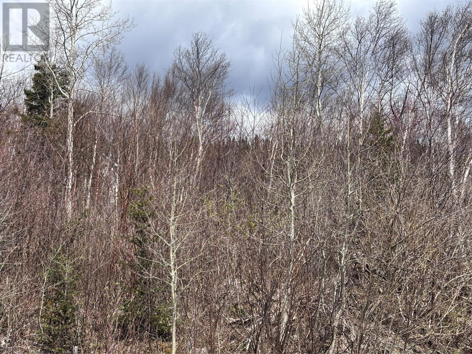 5 Glenview Estates, Clarenville, NL A5A 4H1