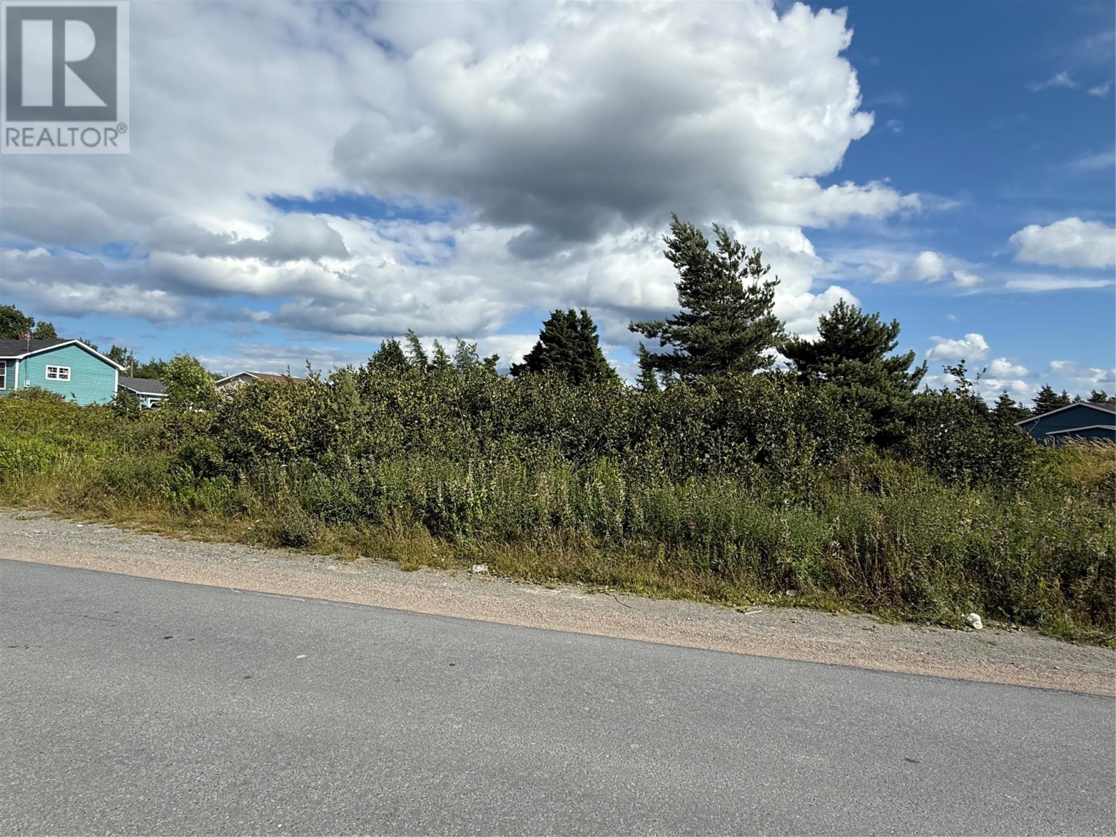 16 Neck Rd, Bay Roberts, NL A0A 1G0