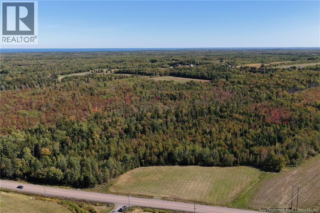 Tbd Route 115, Mckees Mills, NB E4V 2V8