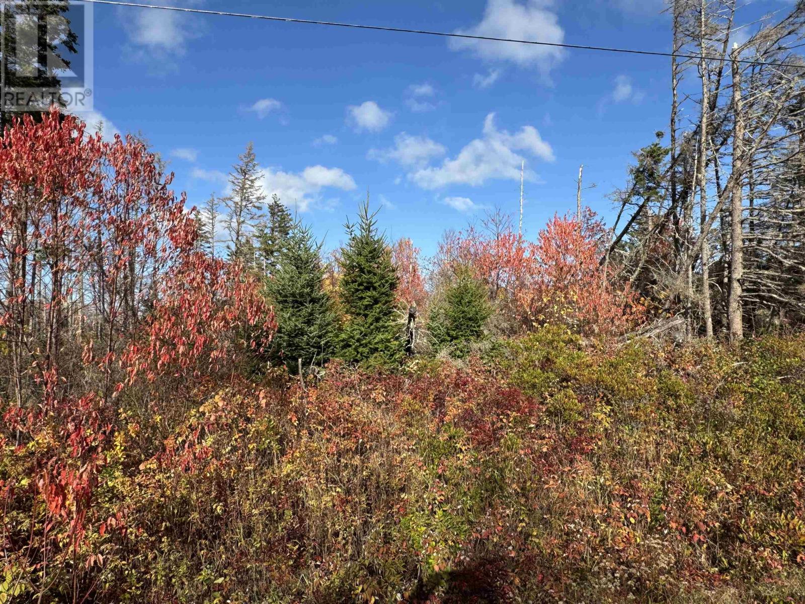 Lot Willow Lane, Priest Pond, PE C0A 2B0