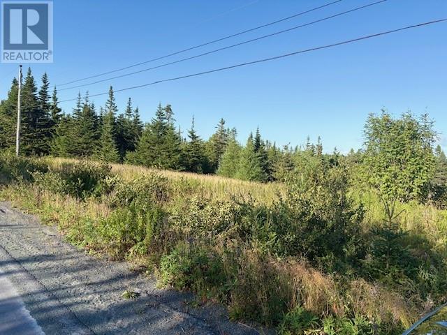 131 Markland Rd, Markland, NL A0B 3k0