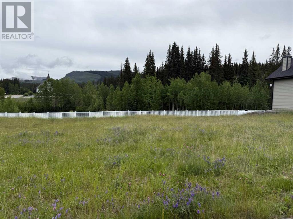 343 Elizabeth Ave, Nordegg, AB T0M 2H0