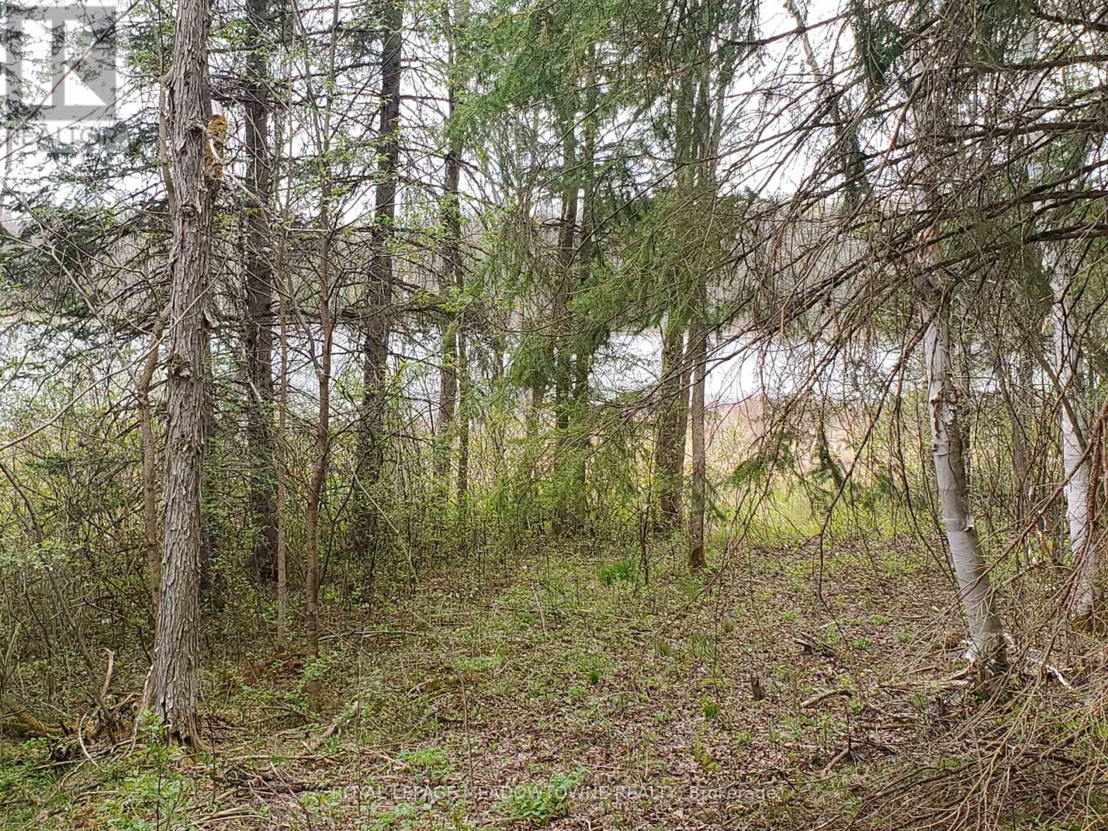 000 Clear Lake Rd, Parry Sound Remote Area Arnstein, ON P0H 1A0