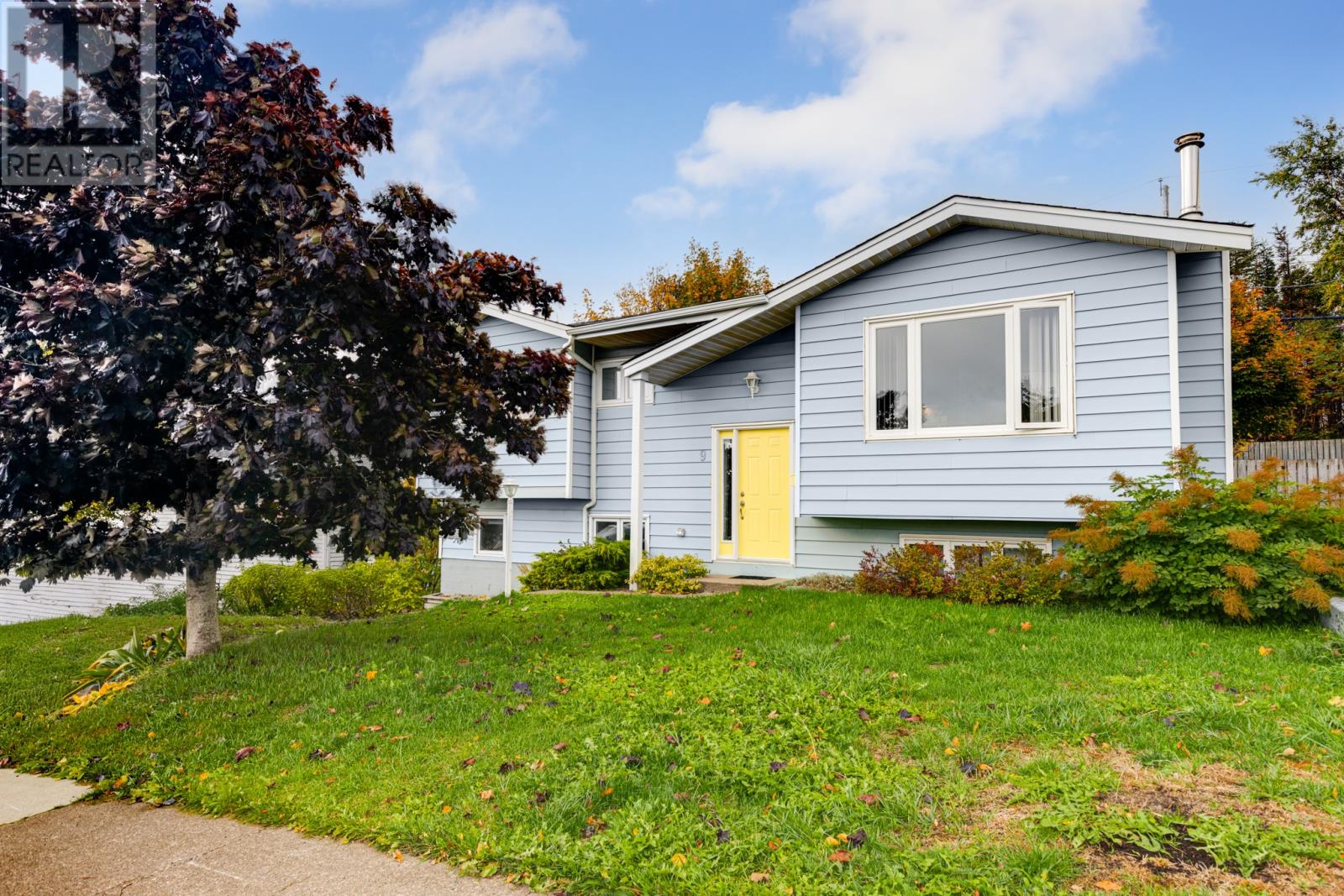 9 Tamarack St, St. John's, NL A1A 4S5