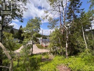 16 Ave Unit 133, Blairmore, AB T0K 0E0