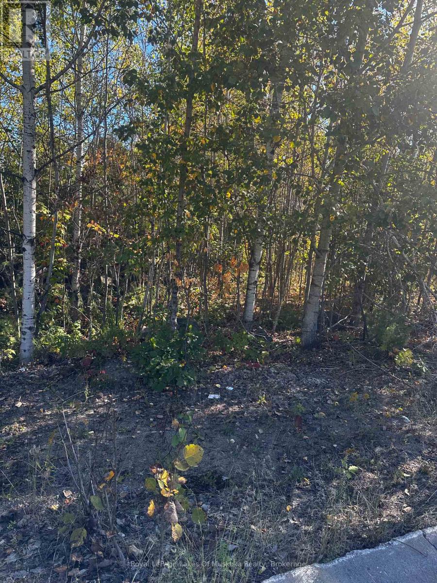 23 Freeland Dr, Gravenhurst, ON P1P 1Z6