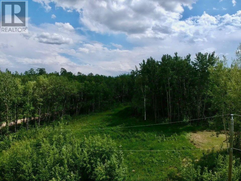 50226 Range Road 204 Unit 62 #62, Rural Beaver County, AB T0B 4A0