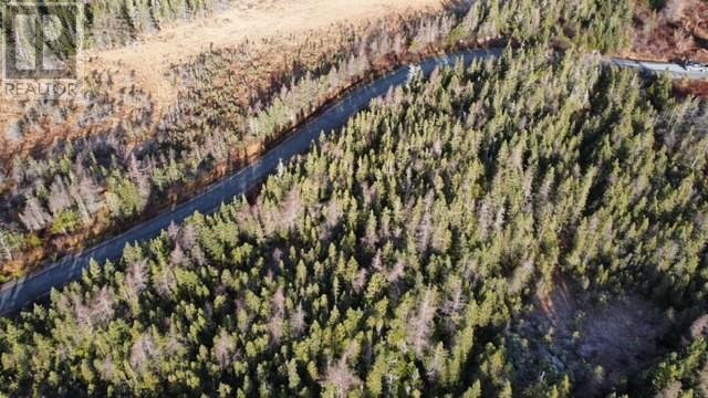 9-11 Terrys Rd, Avondale, NL A0A 1B0