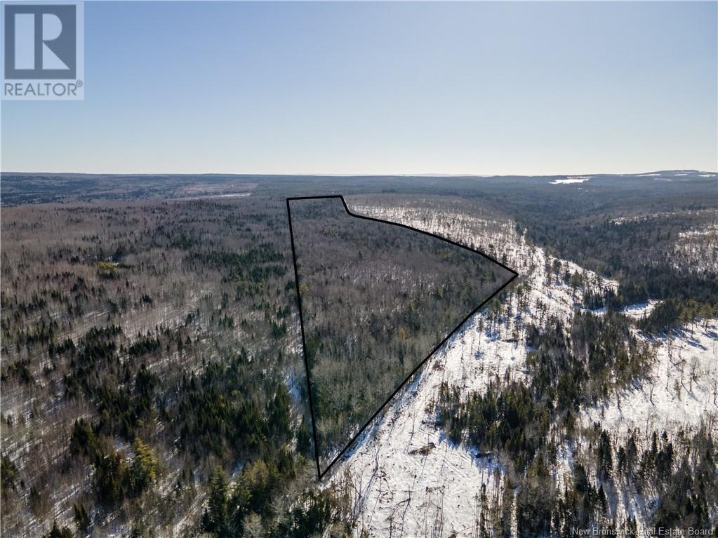 Lot Annindale Ridge Road, Salmon Creek, NB E4C 1Y7