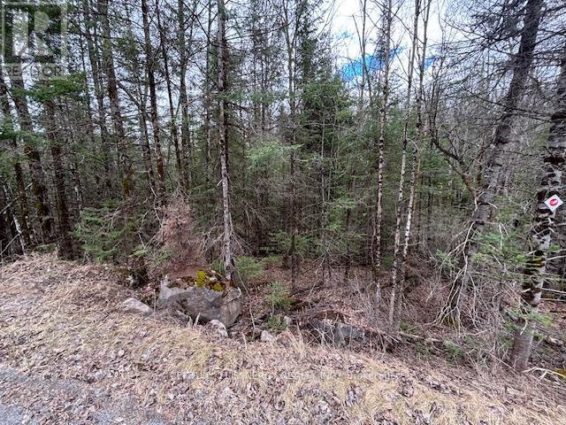 0 S Lavant St S, Lanark Highlands, ON K0G 1K0
