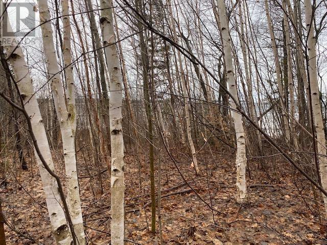 1601 Mississaugi Bay Rd, Huron Shores, ON P0R 1H0
