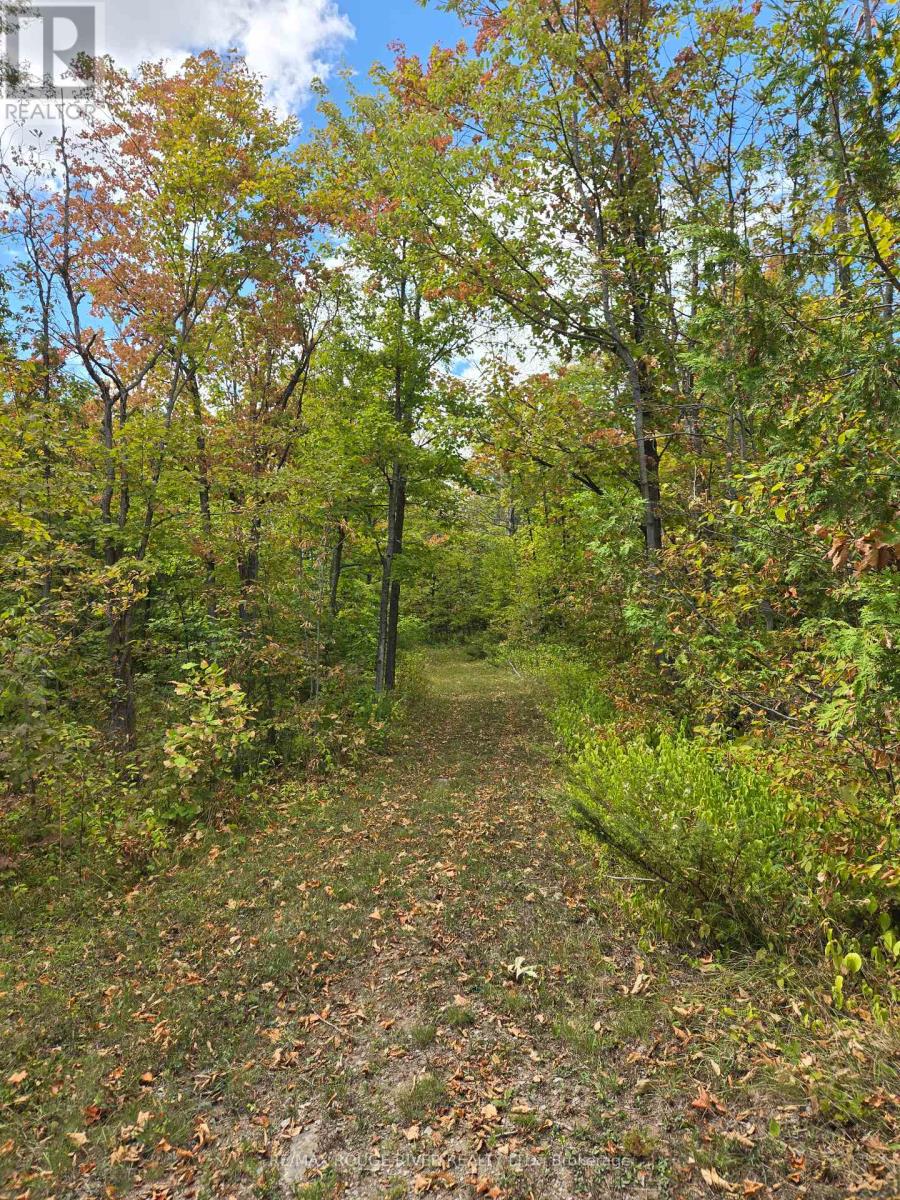 103080 Highway 7 Hwy E, Marmora and Lake, ON K0K 2M0