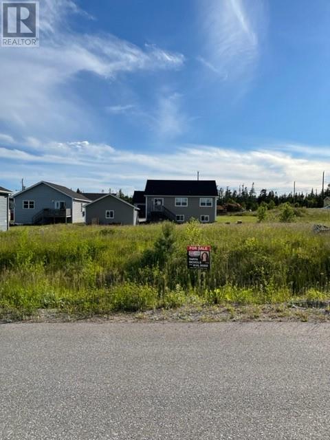 9 Joels Cres, Deer Lake, NL A8A 0C6