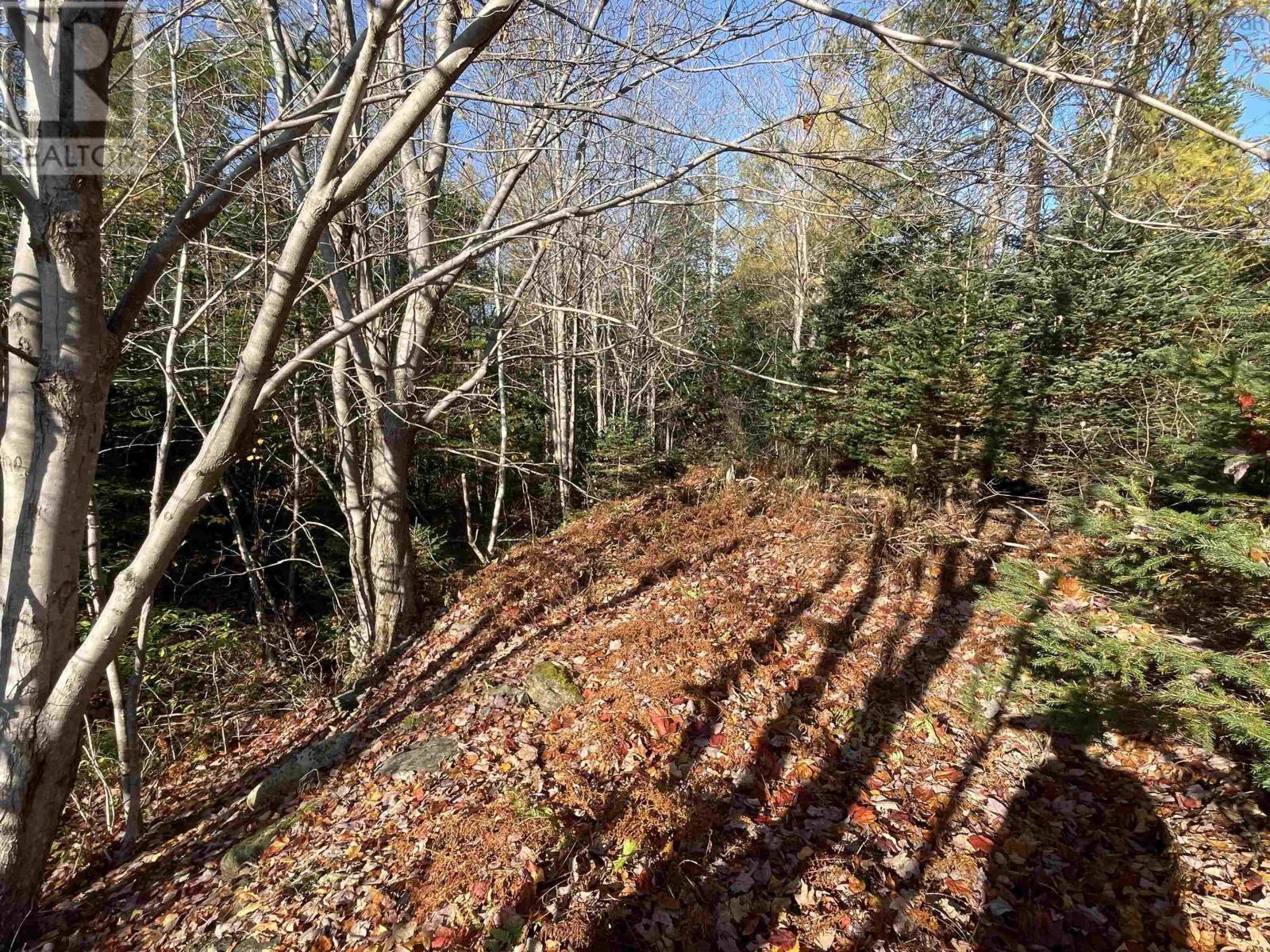 Mosher Road, Conrod Settlement, NS B0J 2L0
