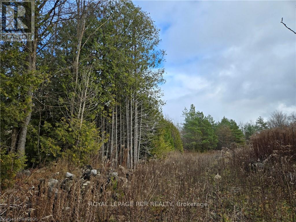 8 Ptlt8es Salter Street, Chatsworth, ON N0H 2V0