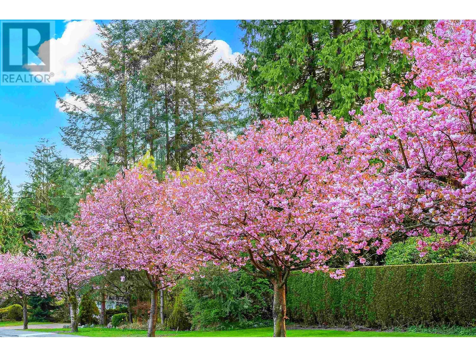 74 E 37th Ave, Vancouver, BC V5W 1E2