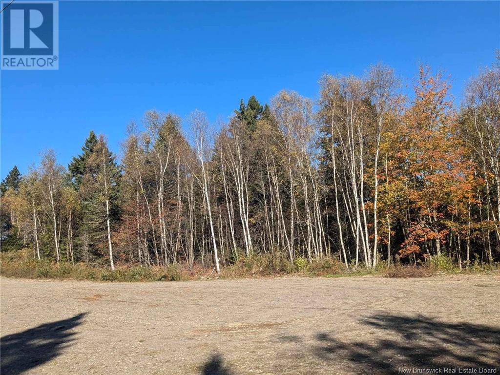 Millstream Court, Campobello Island, NB E5E 1S5