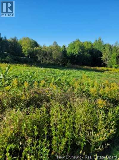 89-38 Parkhurst Dr, Grafton, NB E7N 1N6