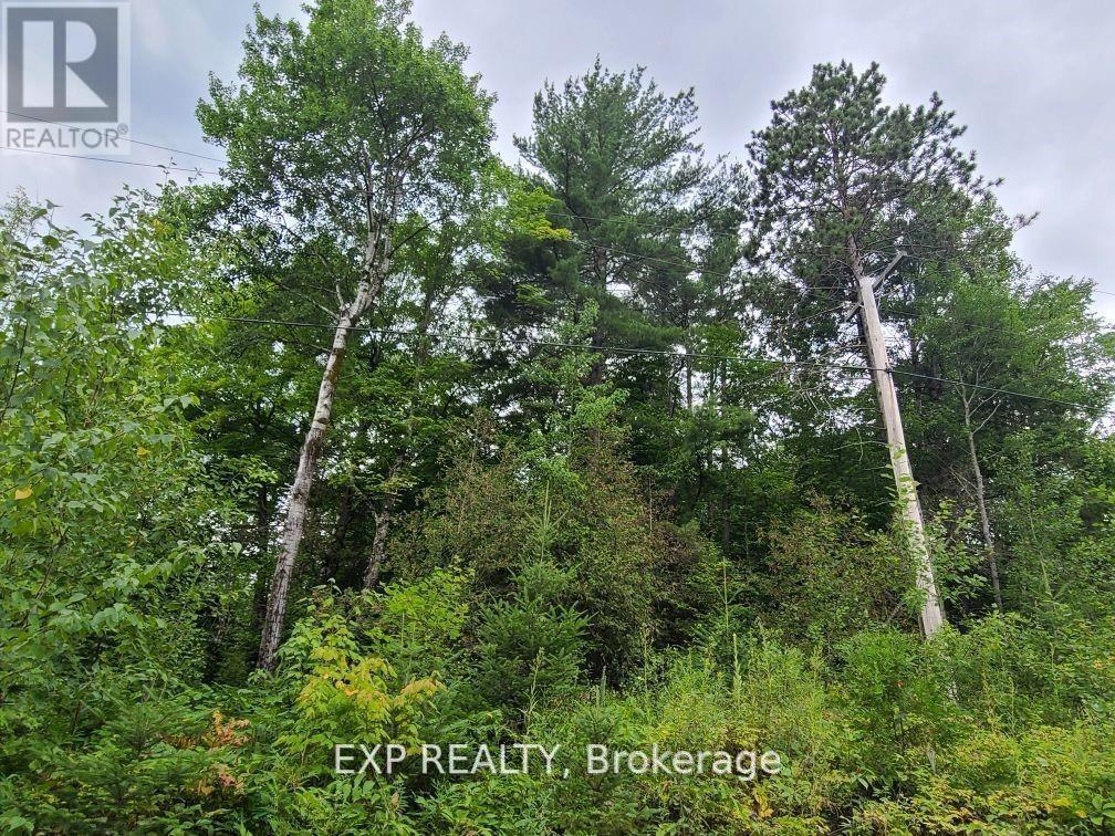 20 Peplinski Homestead Rd, Madawaska Valley, ON K0J 2N0