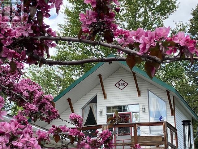 830 Beaven Cres, Valemount, BC V0E 2Z0