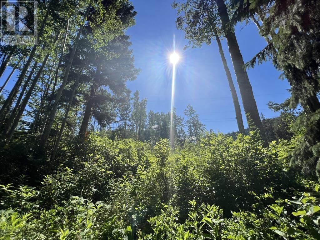 3000 Dahlie Road Unit 1, Smithers, BC V0J 2N4