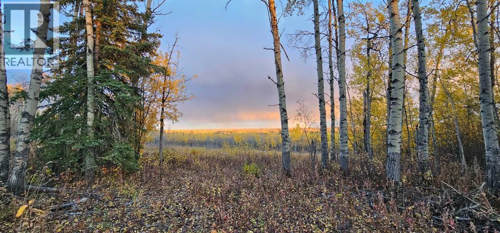 92 Range, Rural Saddle Hills County, AB T0H 0G0