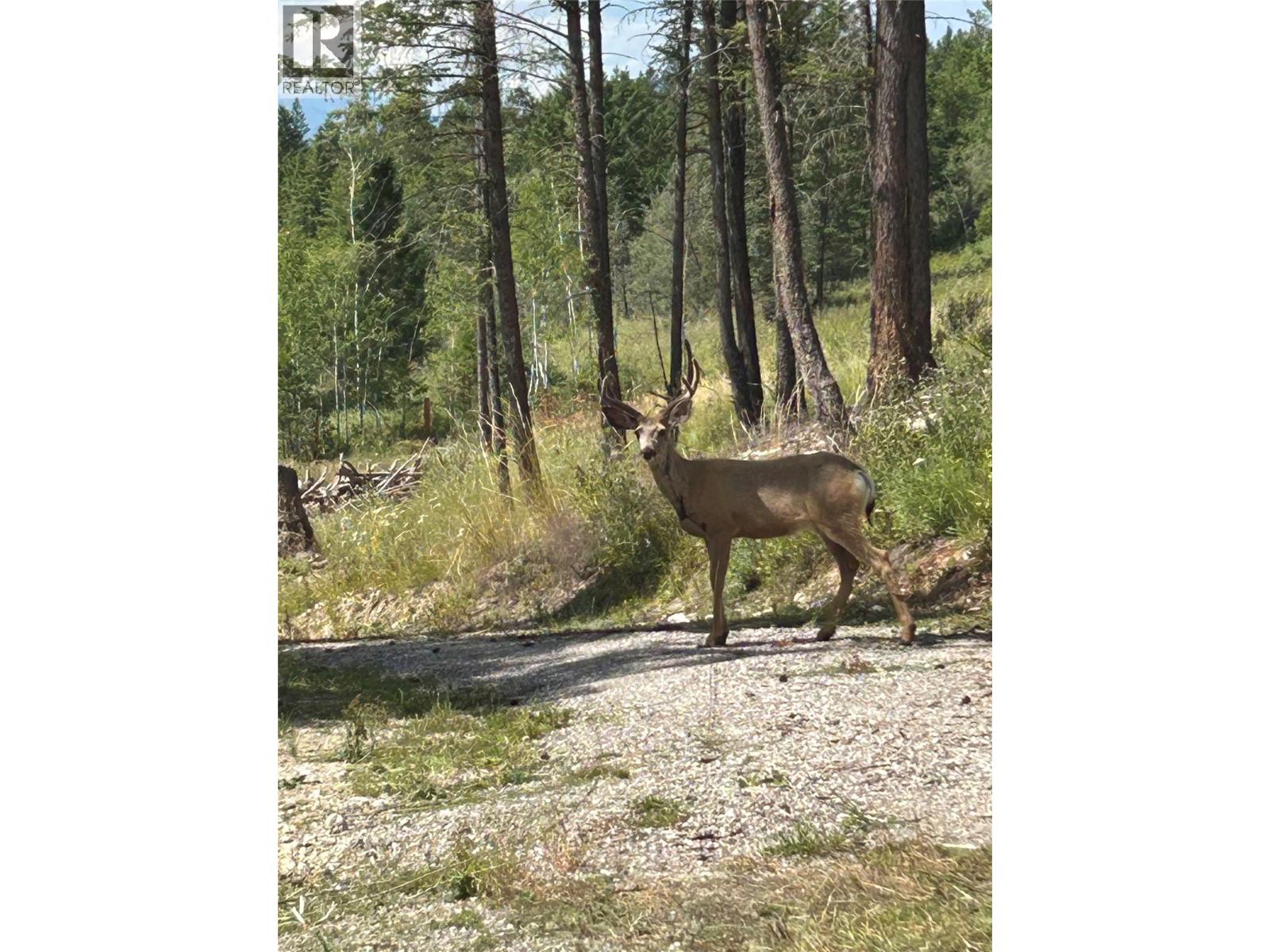 Csokony Road, Spur Valley, BC V0A 1E0
